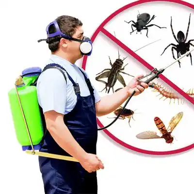 pest control Pecos